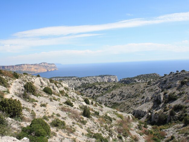 Above the calanques