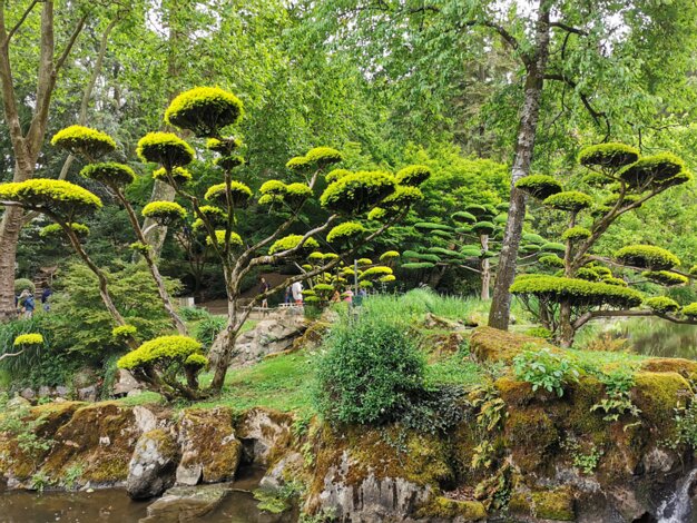 Park