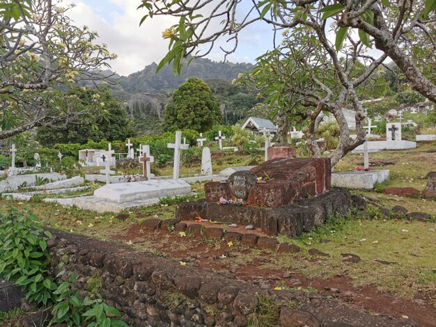 Cemetery