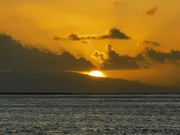 Nui West