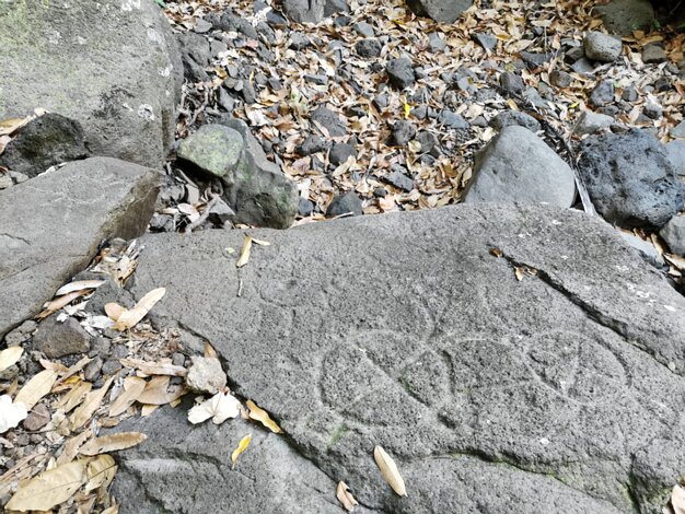 Petroglyphs
