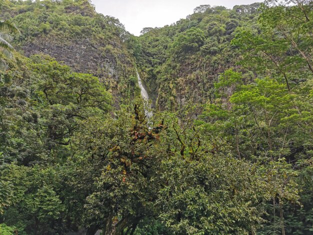 3 cascades
