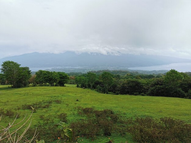 Taravao