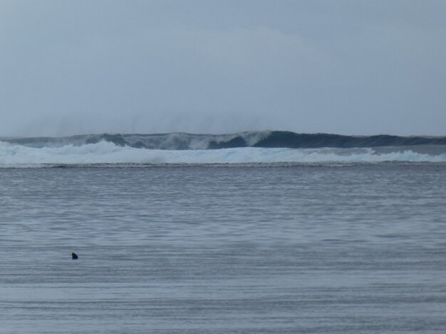 Teahupoo