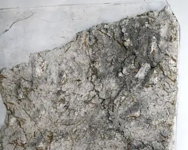 20150215-111341 Mosaic: first sublayer, clear lime plaster, fine sand, straw.