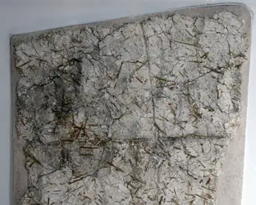20150215-111348 Mosaic: second sublayer, clear lime plaster, straw.
