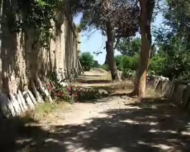 dscf0164 Behind the street: gardens.