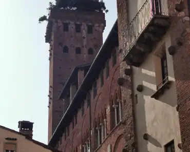 IMG_20230723_174230 Palazzo Guinigi and 45m tall Guinigi tower.
