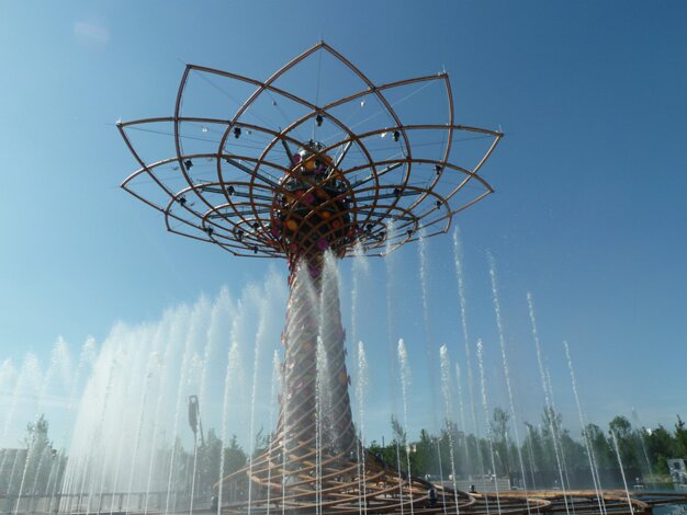 Tree of life
