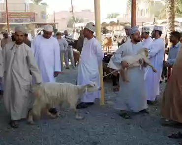 20170224-055557 Animals market on Friday.