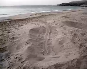 20170221-031601 Turtle nest and track.