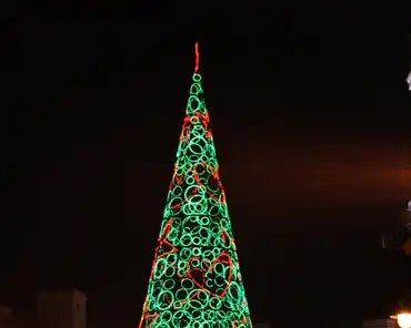 img_2050 Christmas tree.