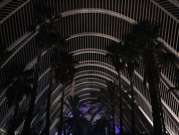 Umbracle