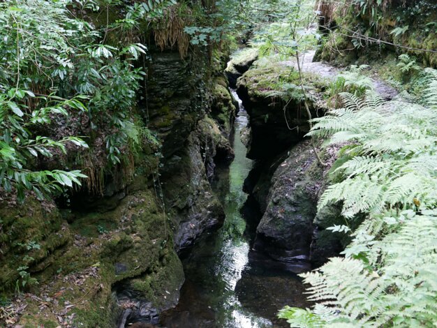 Gorge