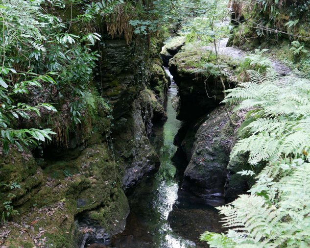Lydford gorge