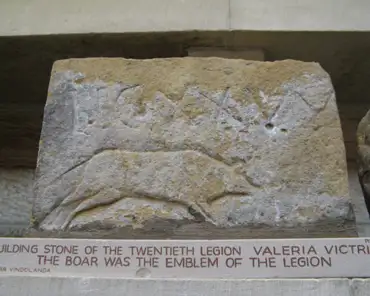 51 Building stone of the 20th legion (the boar was the emblem of the legion).