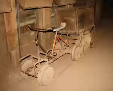 41