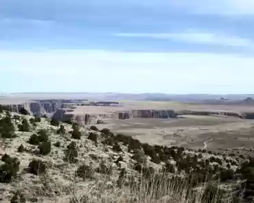 P1030781