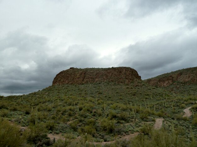 Tonto National Forest