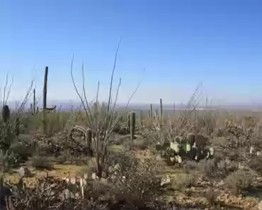 070 Ocotillo.