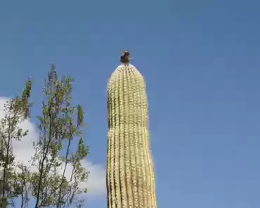 288