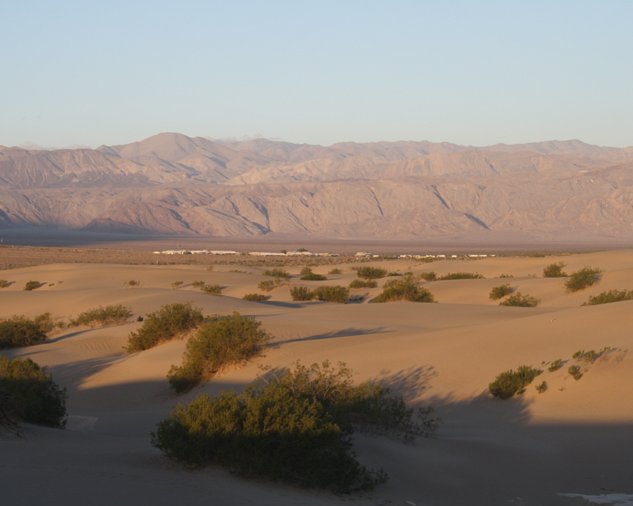Mesquite flat dunes