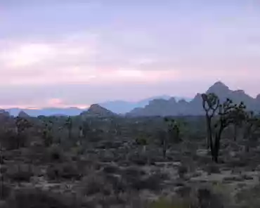 pa270057 The Mojave desert is a high desert, slightly cooler and moister than the Colorado desert. Altitudes vary from 600m to well above 1500m. Joshua tree, Mojave...