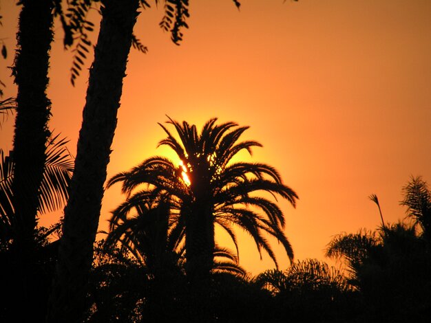 Mission Bay