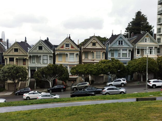 Painted ladies