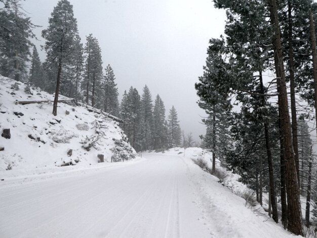 Wawona road