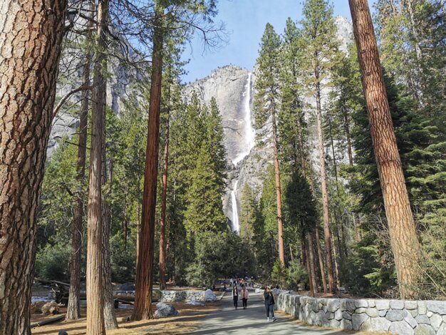 Yosemite Falls