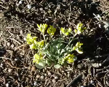 P1220987