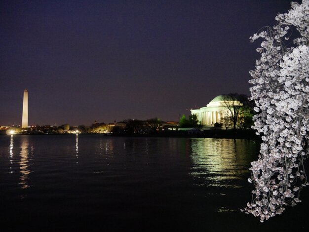 Tidal basin