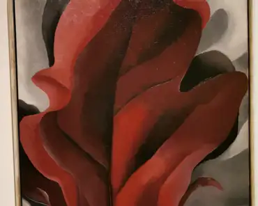 IMG_20191205_183602 Georgia K'Keeffe, Large dark red leaves on white, 1925.