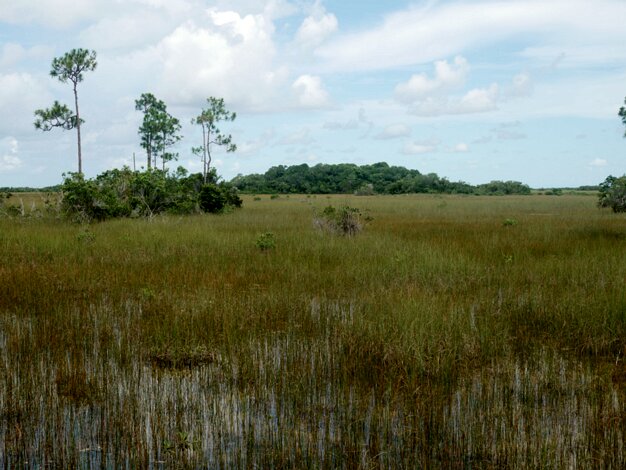 Mahogany Hammock Trail