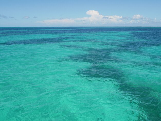 John Pennekamp Coral Reef State Park