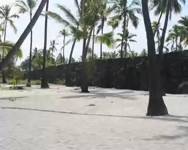 20140213-221421 A wall up to 3m high and 5m thick separated the royal compound from the pu'uhonua. Workers stacked stones so tightly that the walls needed no mortar. Built...