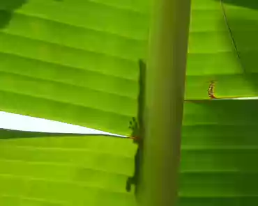 P1140214