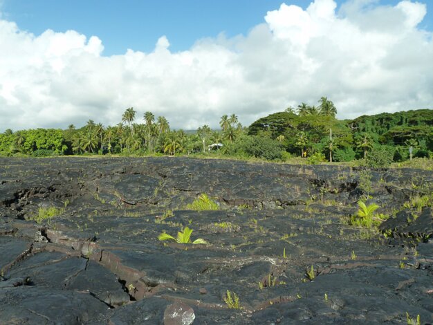 Kaimu / Kalapana