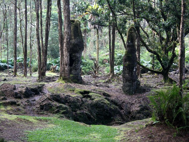 Lava Tree State Park