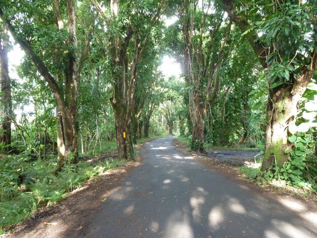 Pohoiki
