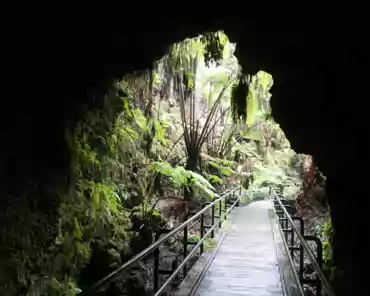 IMG_4373 Lava tube.