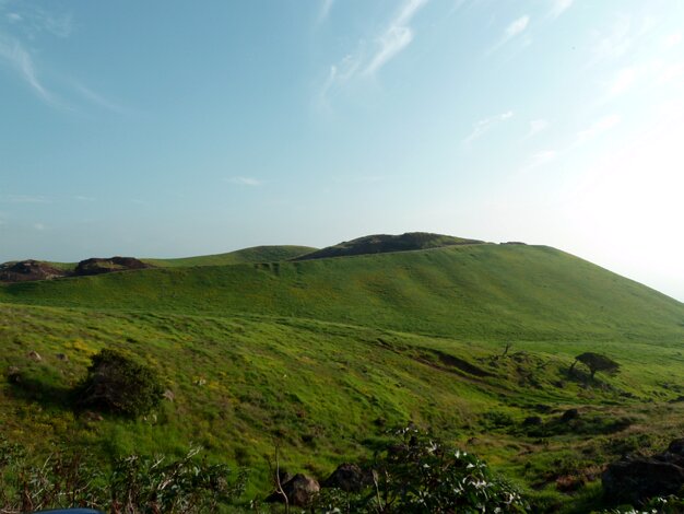 Kohala