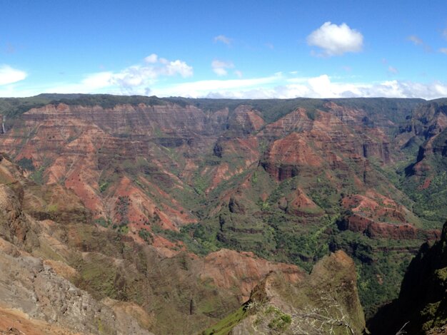Canyon Lookout