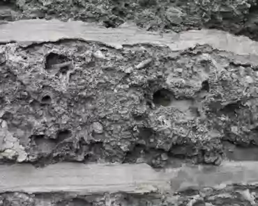 IMG_2802 Coral slab.