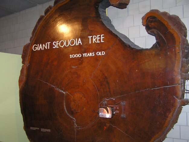 Museum of Science