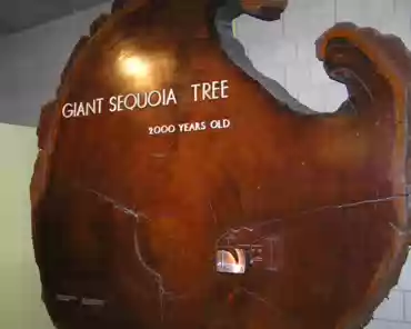 pa060017