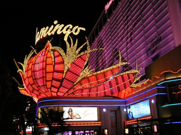 Flamingo