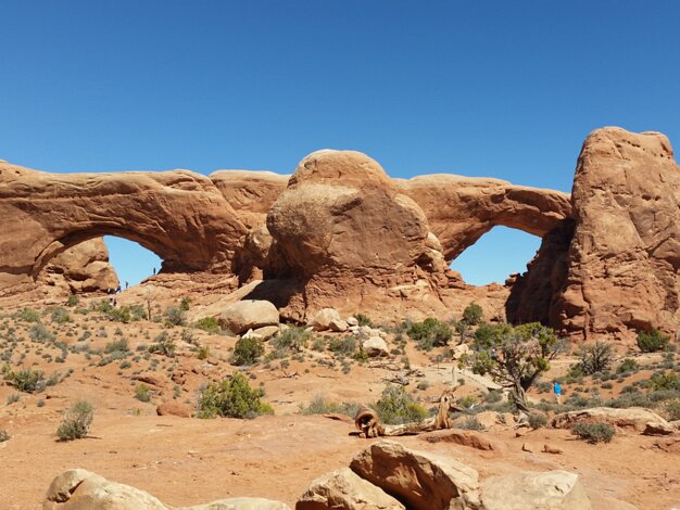 Windows Arches