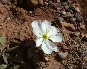 P1240209